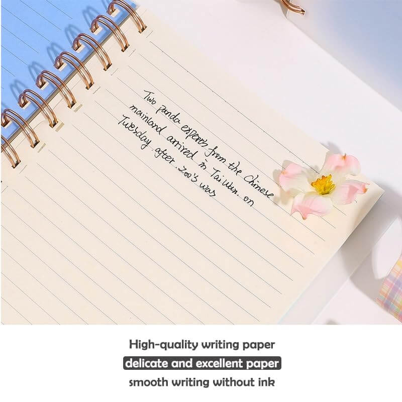 Multicolor Spiral Notebook Set