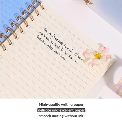 Multicolor Spiral Notebook Set