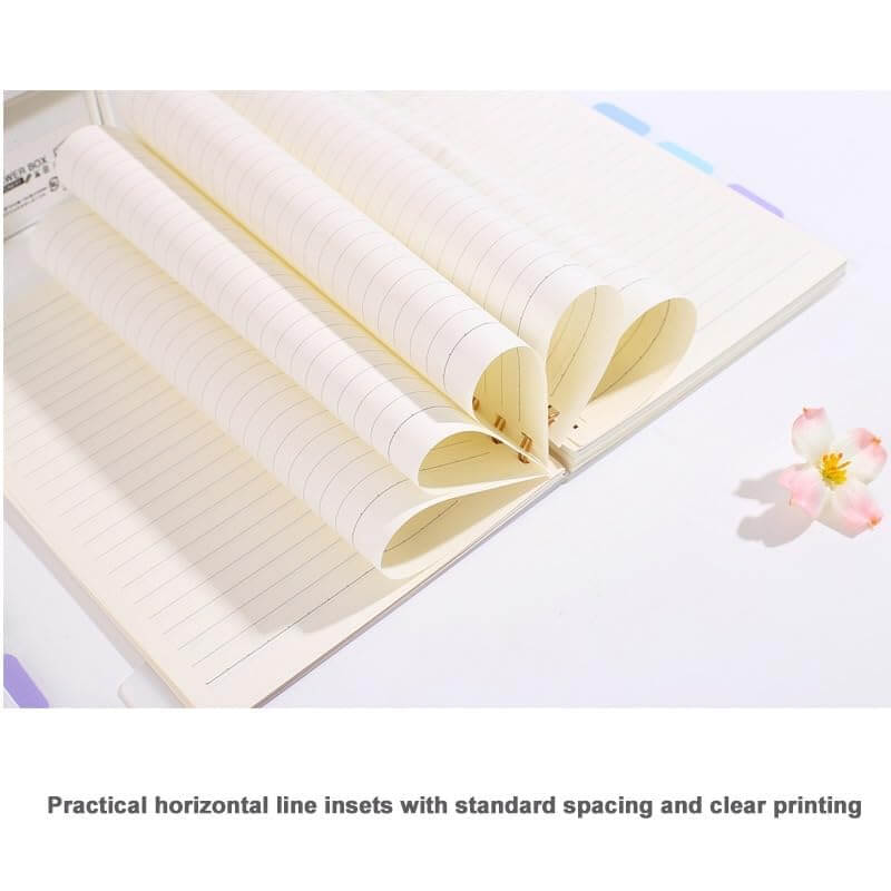 Multicolor Spiral Notebook Set